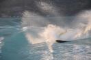 29-09-2009 - wake session